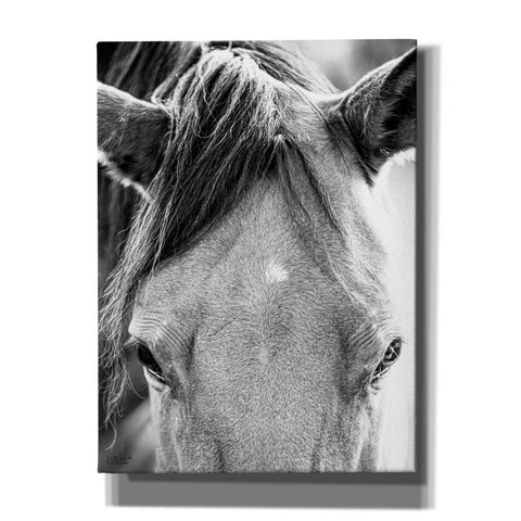 Image of 'Trophy Winner I' by Donnie Quillen Canvas Wall Art