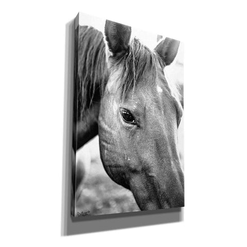 Image of 'Trophy Winner II' by Donnie Quillen Canvas Wall Art