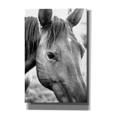 Image of 'Trophy Winner II' by Donnie Quillen Canvas Wall Art