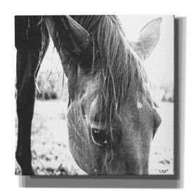 'Trophy Winner III' by Donnie Quillen Canvas Wall Art