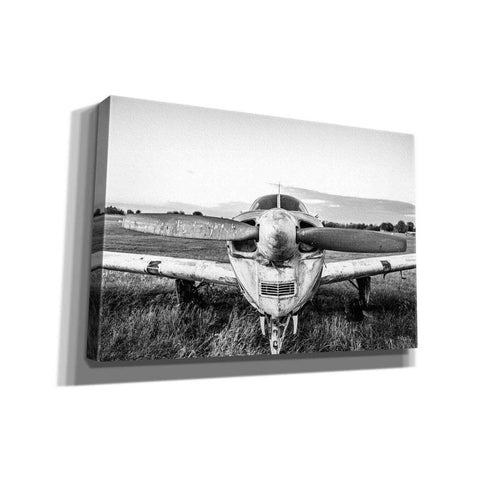 Image of 'Last Flight II' by Donnie Quillen Canvas Wall Art