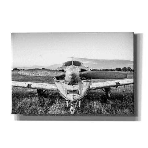 Image of 'Last Flight II' by Donnie Quillen Canvas Wall Art