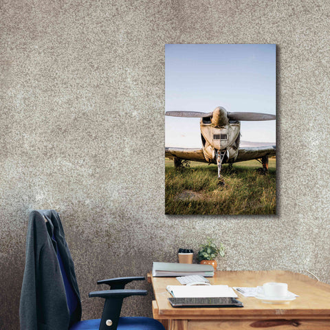 Image of 'Last Flight III' by Donnie Quillen Canvas Wall Art,26 x 40
