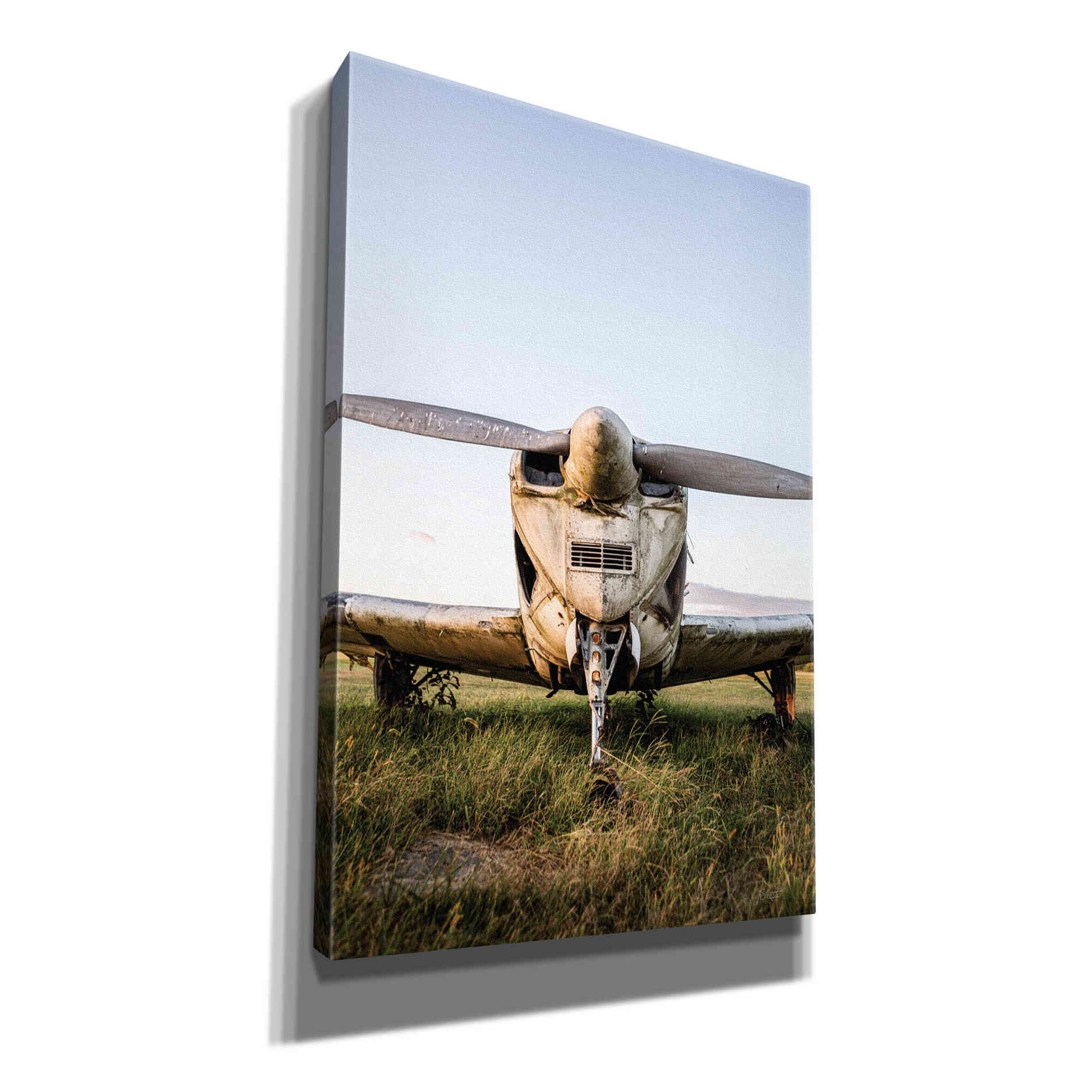 'Last Flight III' by Donnie Quillen Canvas Wall Art