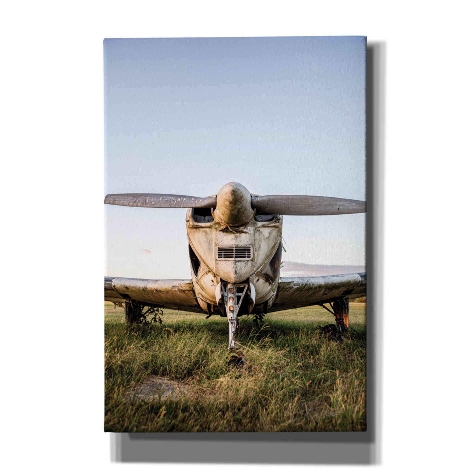'Last Flight III' by Donnie Quillen Canvas Wall Art