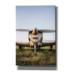 'Last Flight III' by Donnie Quillen Canvas Wall Art