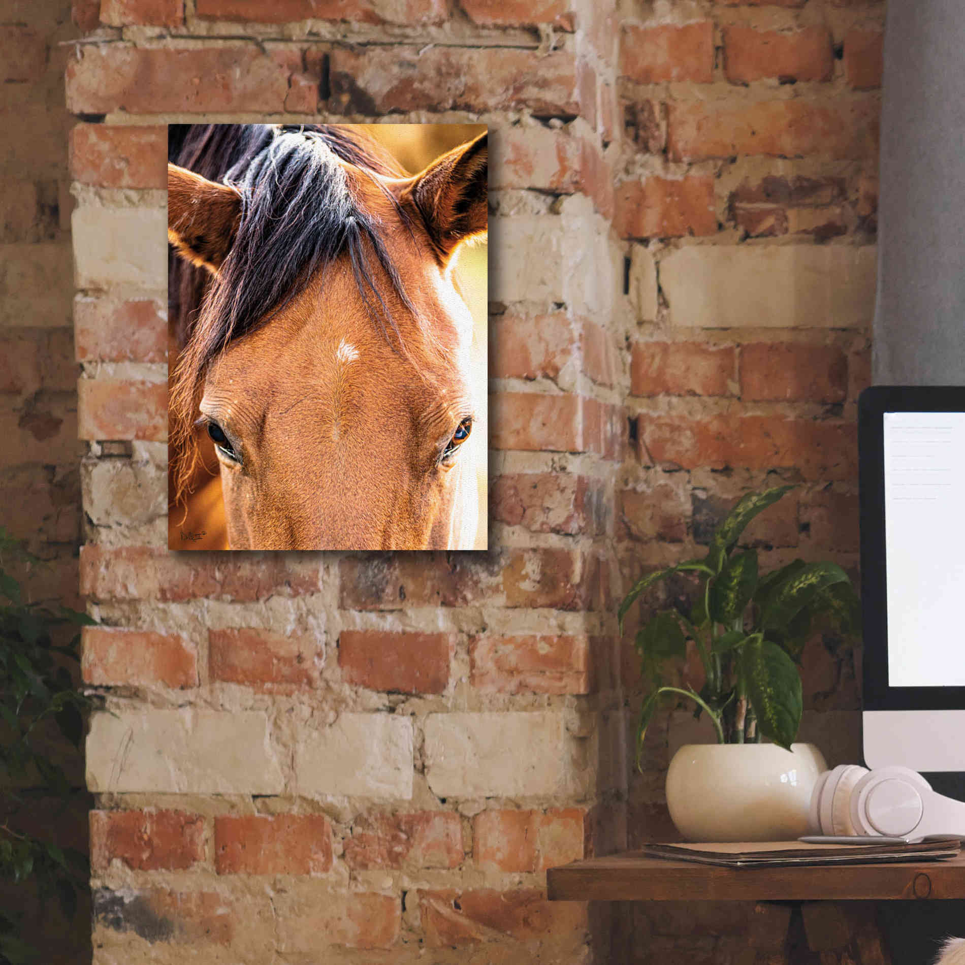 'Soft Brown' by Donnie Quillen Canvas Wall Art,12 x 16