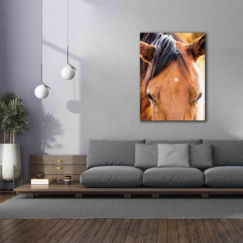 Image of 'Soft Brown' by Donnie Quillen Canvas Wall Art,40 x 54