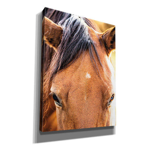 Image of 'Soft Brown' by Donnie Quillen Canvas Wall Art
