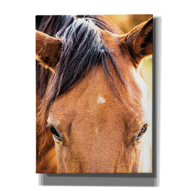'Soft Brown' by Donnie Quillen Canvas Wall Art