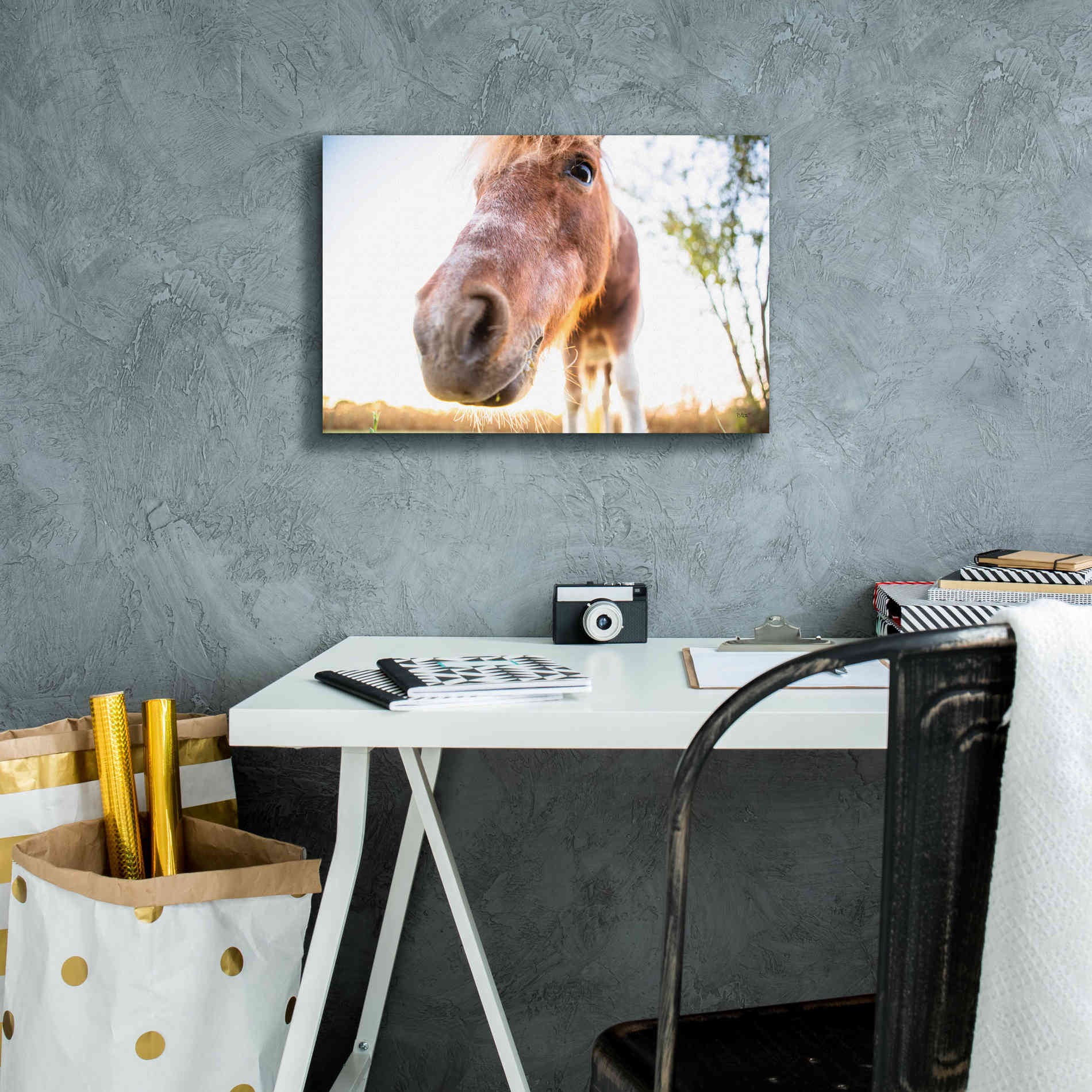 'Hi Horse' by Donnie Quillen Canvas Wall Art,18 x 12