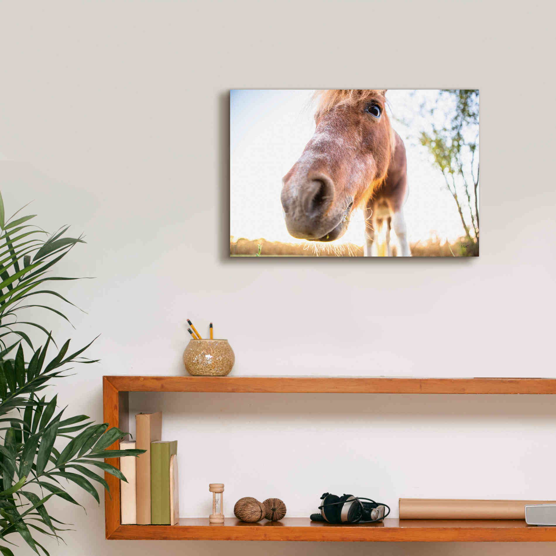 'Hi Horse' by Donnie Quillen Canvas Wall Art,18 x 12