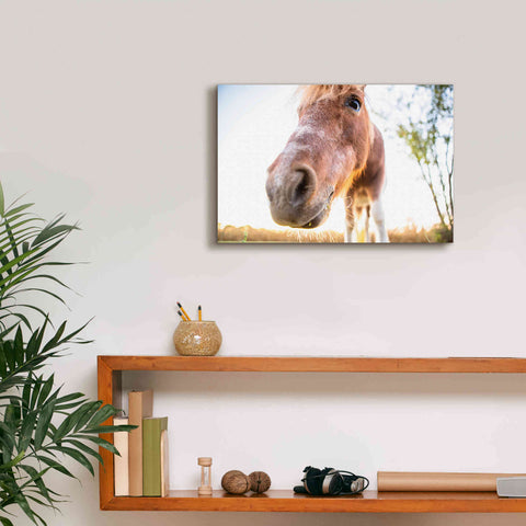 Image of 'Hi Horse' by Donnie Quillen Canvas Wall Art,18 x 12