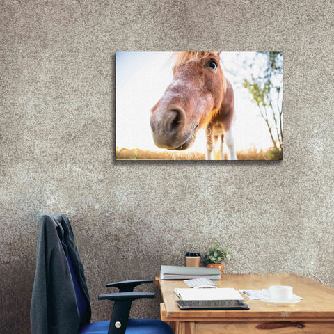 Image of 'Hi Horse' by Donnie Quillen Canvas Wall Art,40 x 26