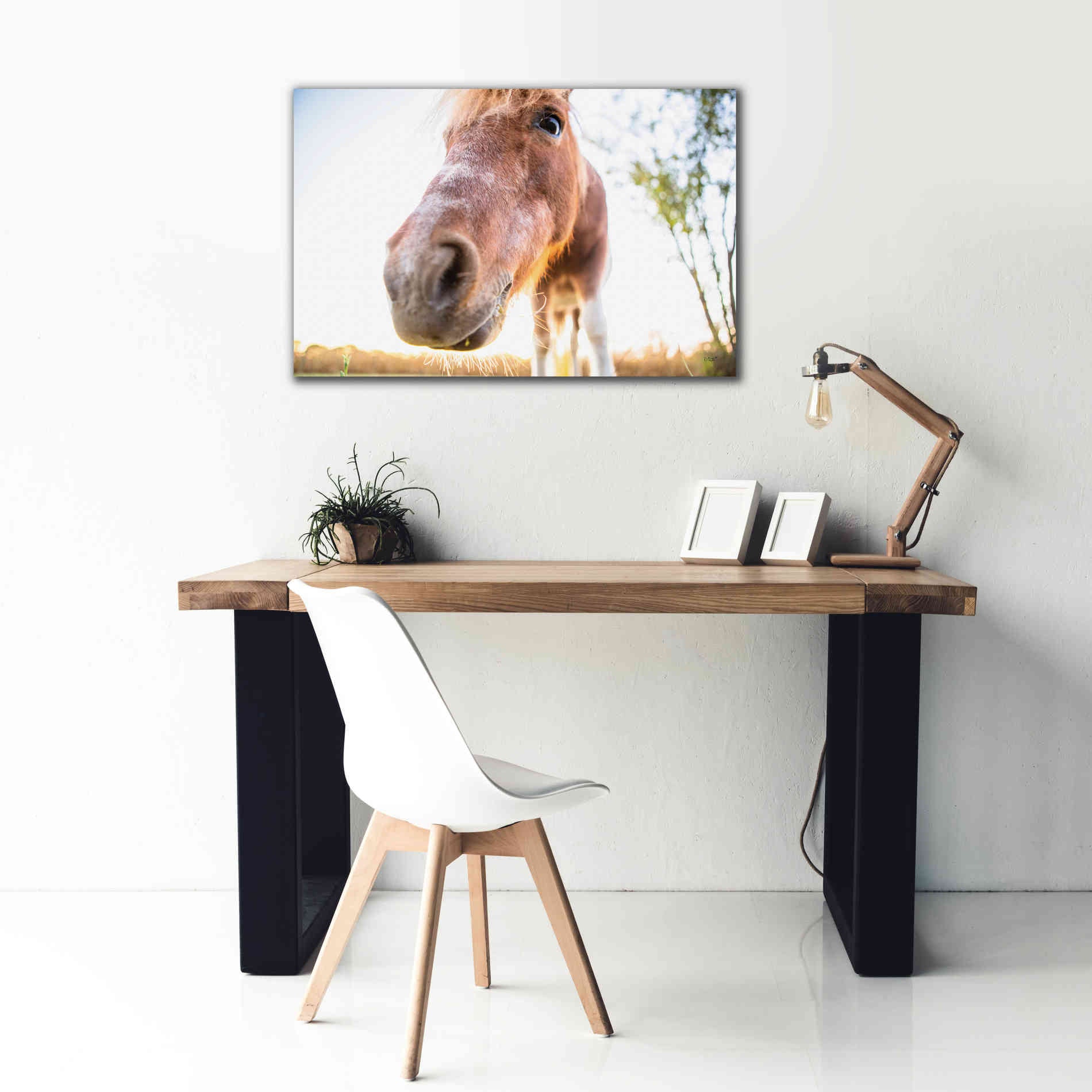 'Hi Horse' by Donnie Quillen Canvas Wall Art,40 x 26