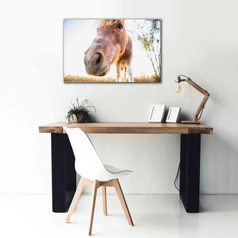 Image of 'Hi Horse' by Donnie Quillen Canvas Wall Art,40 x 26