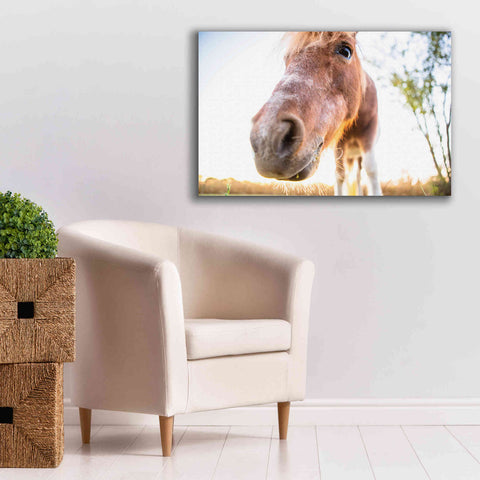 Image of 'Hi Horse' by Donnie Quillen Canvas Wall Art,40 x 26