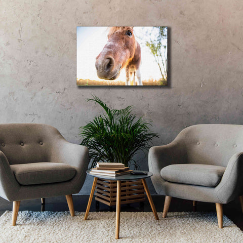 Image of 'Hi Horse' by Donnie Quillen Canvas Wall Art,40 x 26