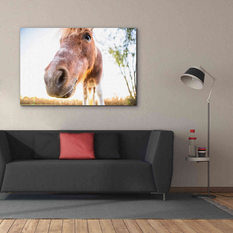 Image of 'Hi Horse' by Donnie Quillen Canvas Wall Art,60 x 40