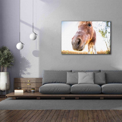 Image of 'Hi Horse' by Donnie Quillen Canvas Wall Art,60 x 40