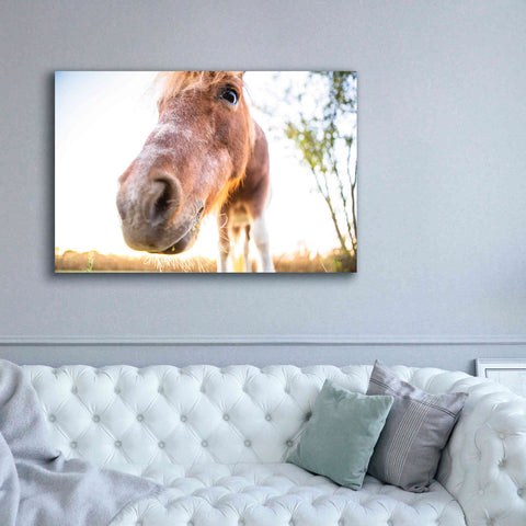 Image of 'Hi Horse' by Donnie Quillen Canvas Wall Art,60 x 40