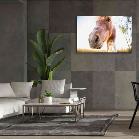 Image of 'Hi Horse' by Donnie Quillen Canvas Wall Art,60 x 40