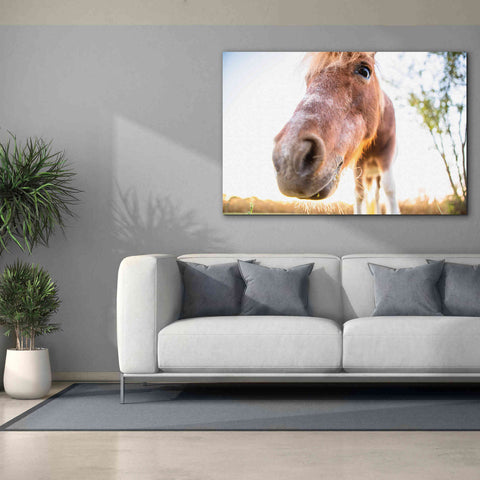 Image of 'Hi Horse' by Donnie Quillen Canvas Wall Art,60 x 40