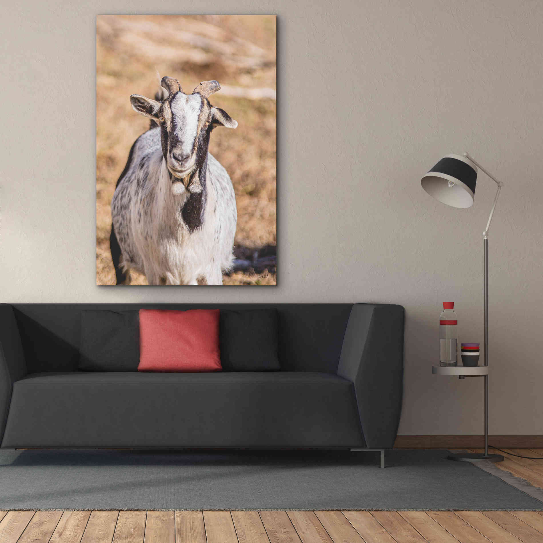 'Short Beard' by Donnie Quillen Canvas Wall Art,40 x 60