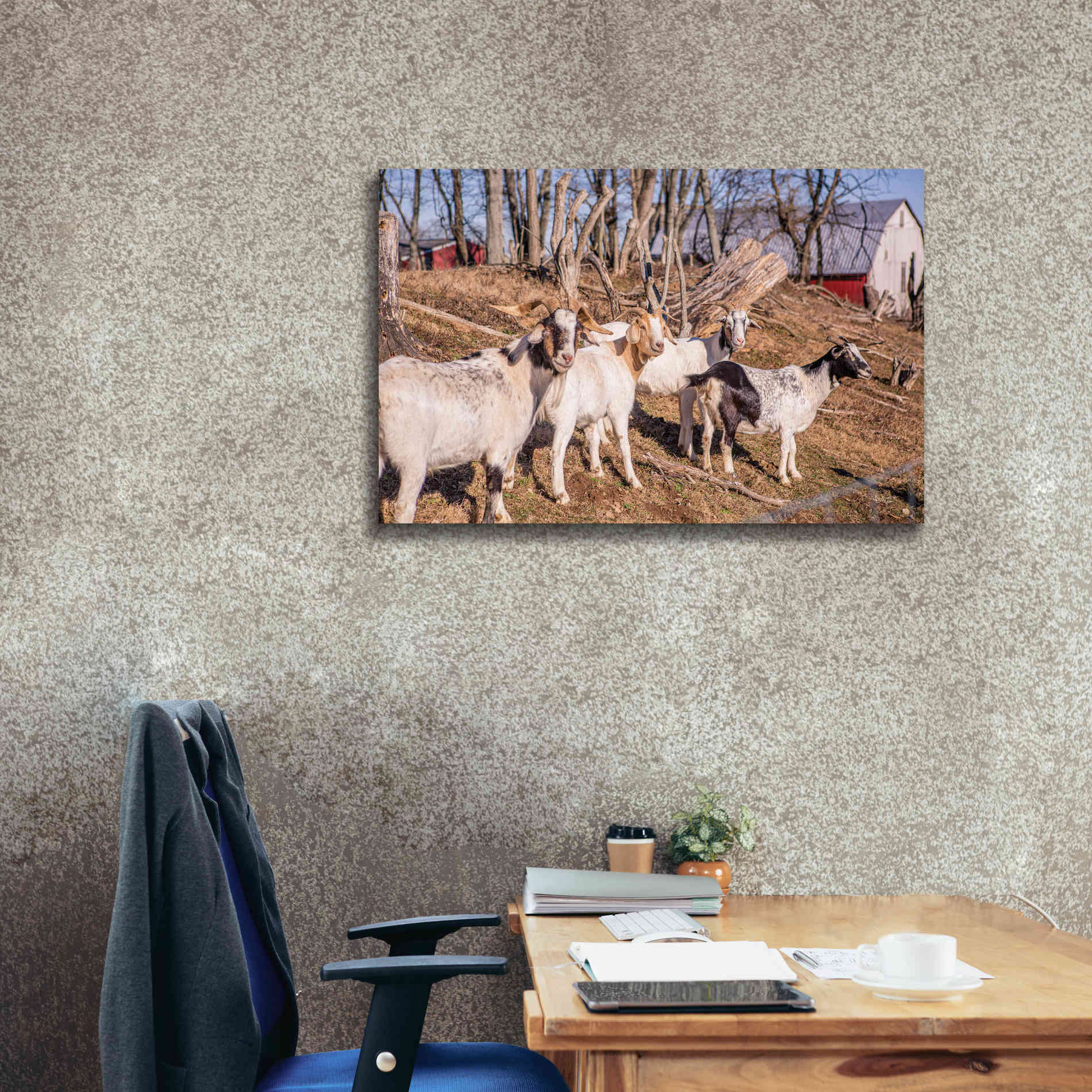 'Goats of a Feather' by Donnie Quillen Canvas Wall Art,40 x 26