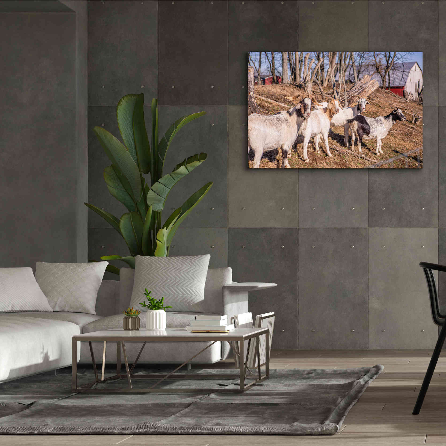 'Goats of a Feather' by Donnie Quillen Canvas Wall Art,60 x 40