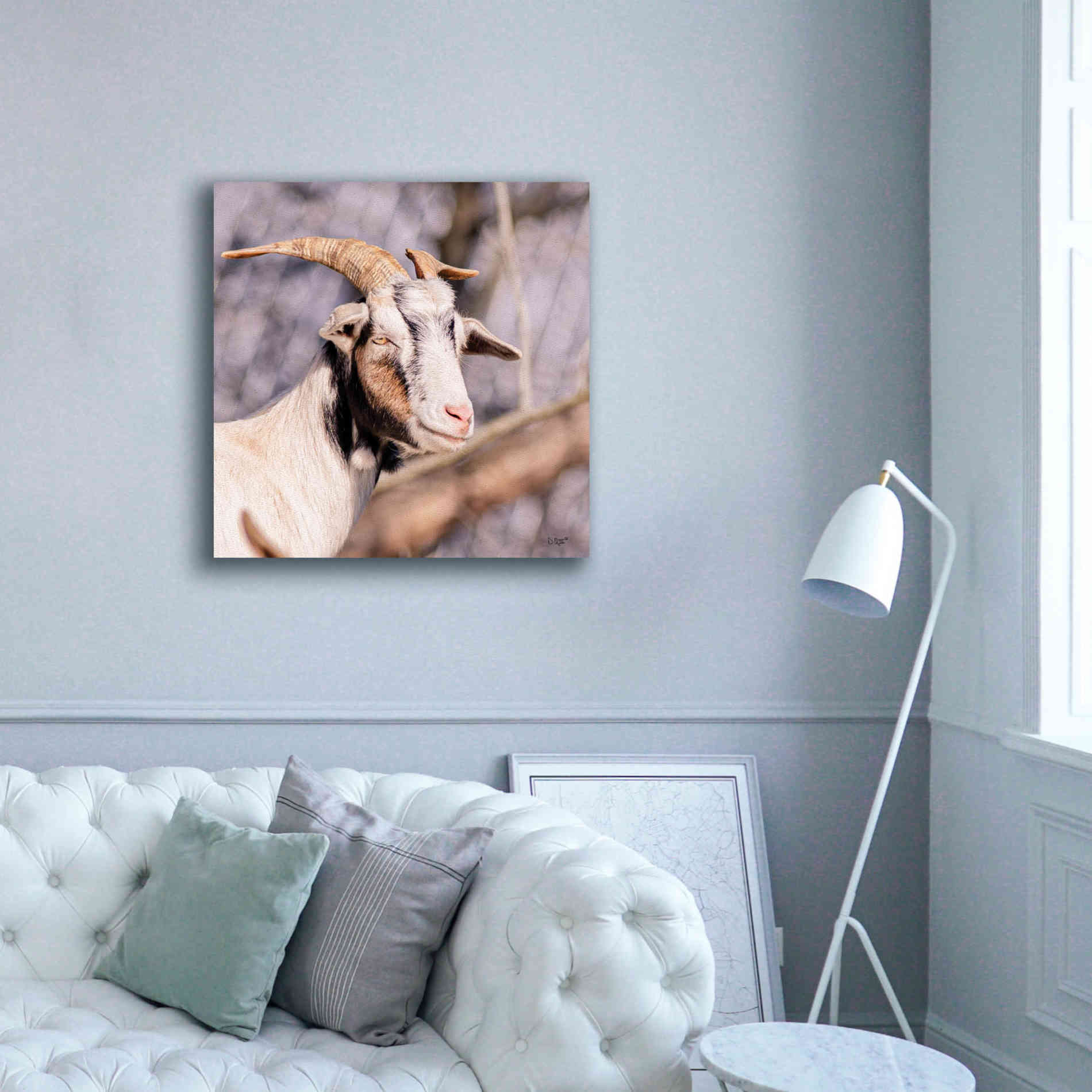 'Brown Goat' by Donnie Quillen Canvas Wall Art,37 x 37