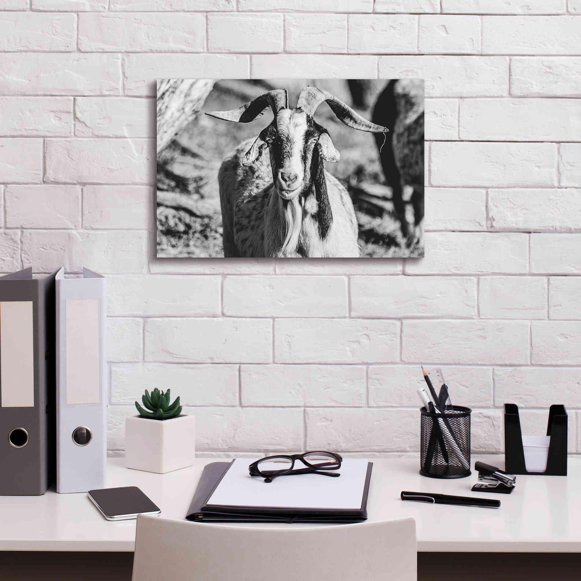 'Bearded Goat' by Donnie Quillen Canvas Wall Art,18 x 12