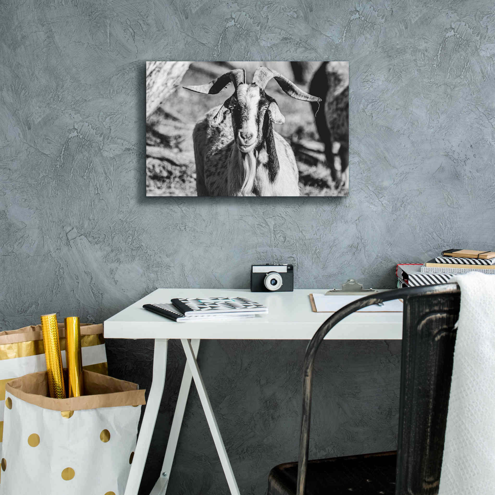 'Bearded Goat' by Donnie Quillen Canvas Wall Art,18 x 12