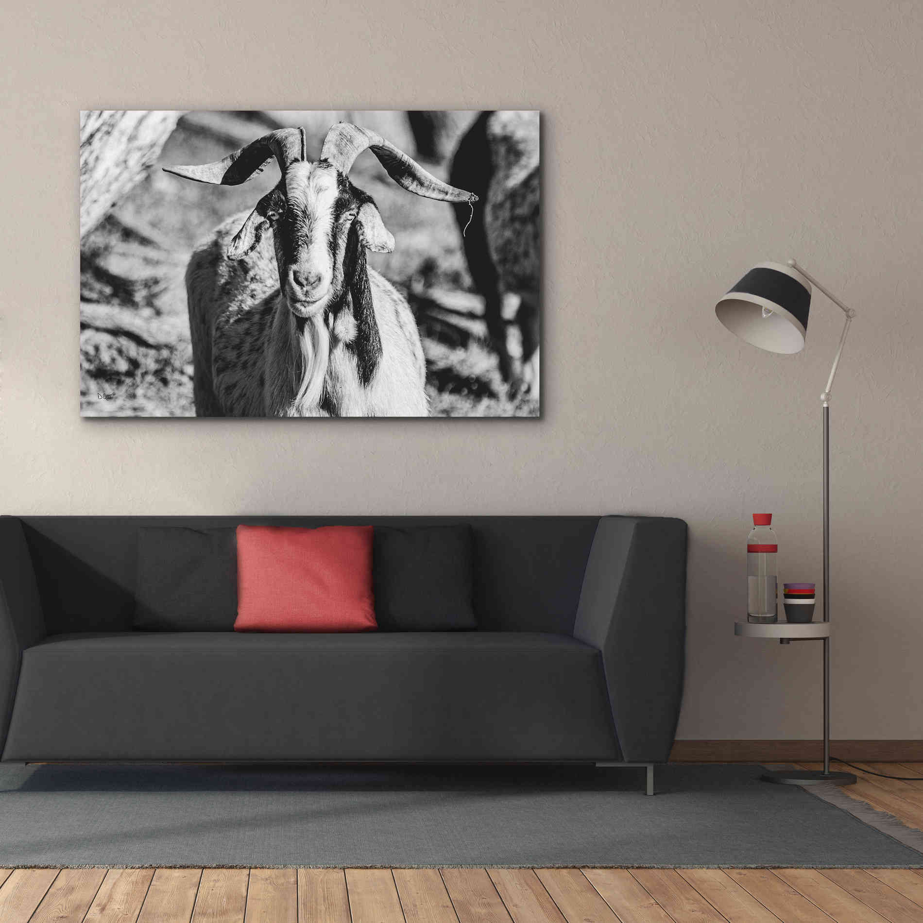 'Bearded Goat' by Donnie Quillen Canvas Wall Art,60 x 40