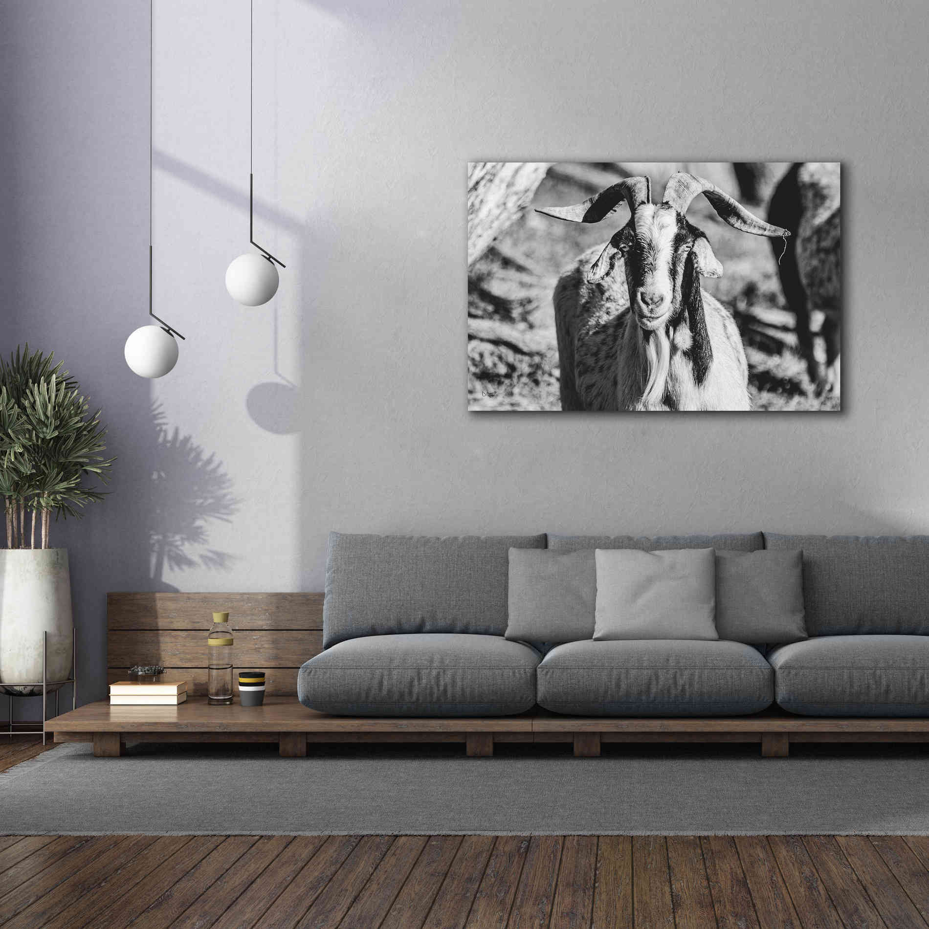 'Bearded Goat' by Donnie Quillen Canvas Wall Art,60 x 40