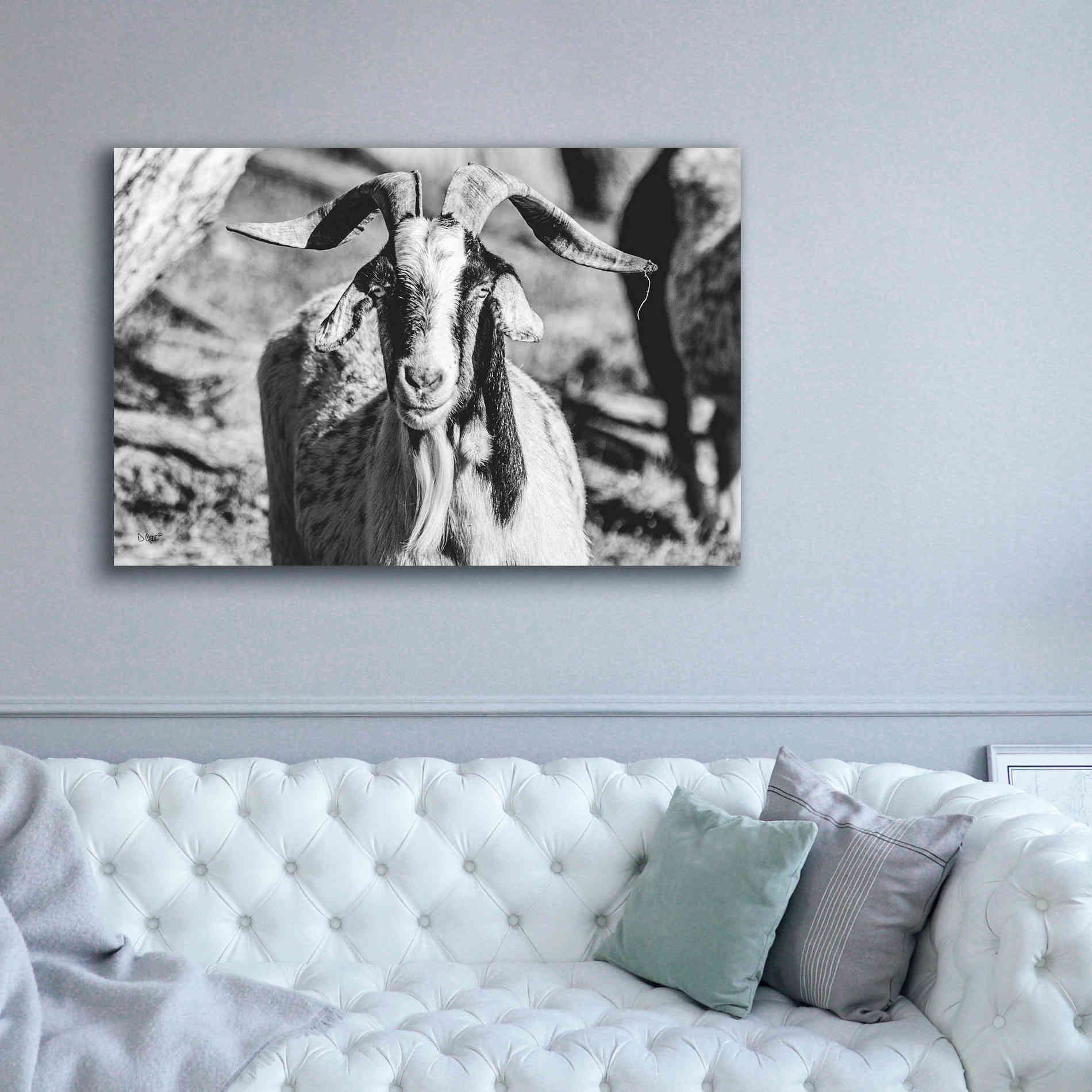 'Bearded Goat' by Donnie Quillen Canvas Wall Art,60 x 40