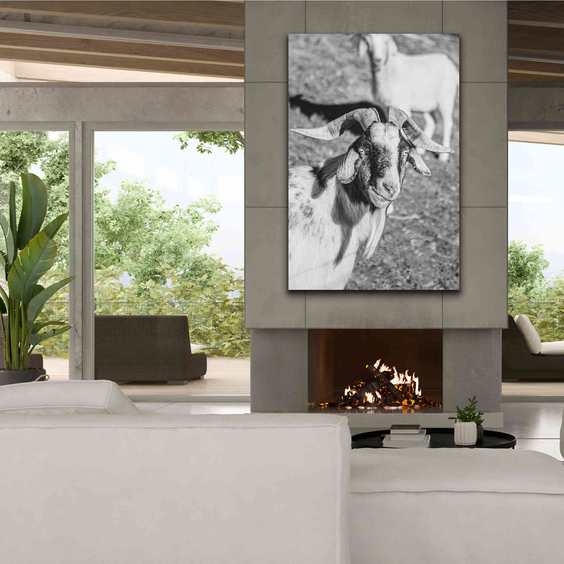 'Eating Goat' by Donnie Quillen Canvas Wall Art,40 x 60