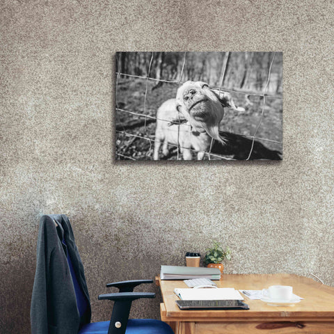 Image of 'Hey Goat' by Donnie Quillen Canvas Wall Art,40 x 26