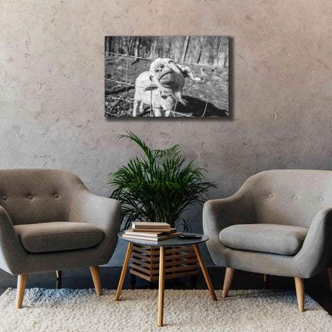 Image of 'Hey Goat' by Donnie Quillen Canvas Wall Art,40 x 26