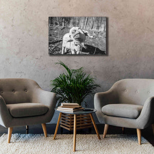 'Hey Goat' by Donnie Quillen Canvas Wall Art,40 x 26