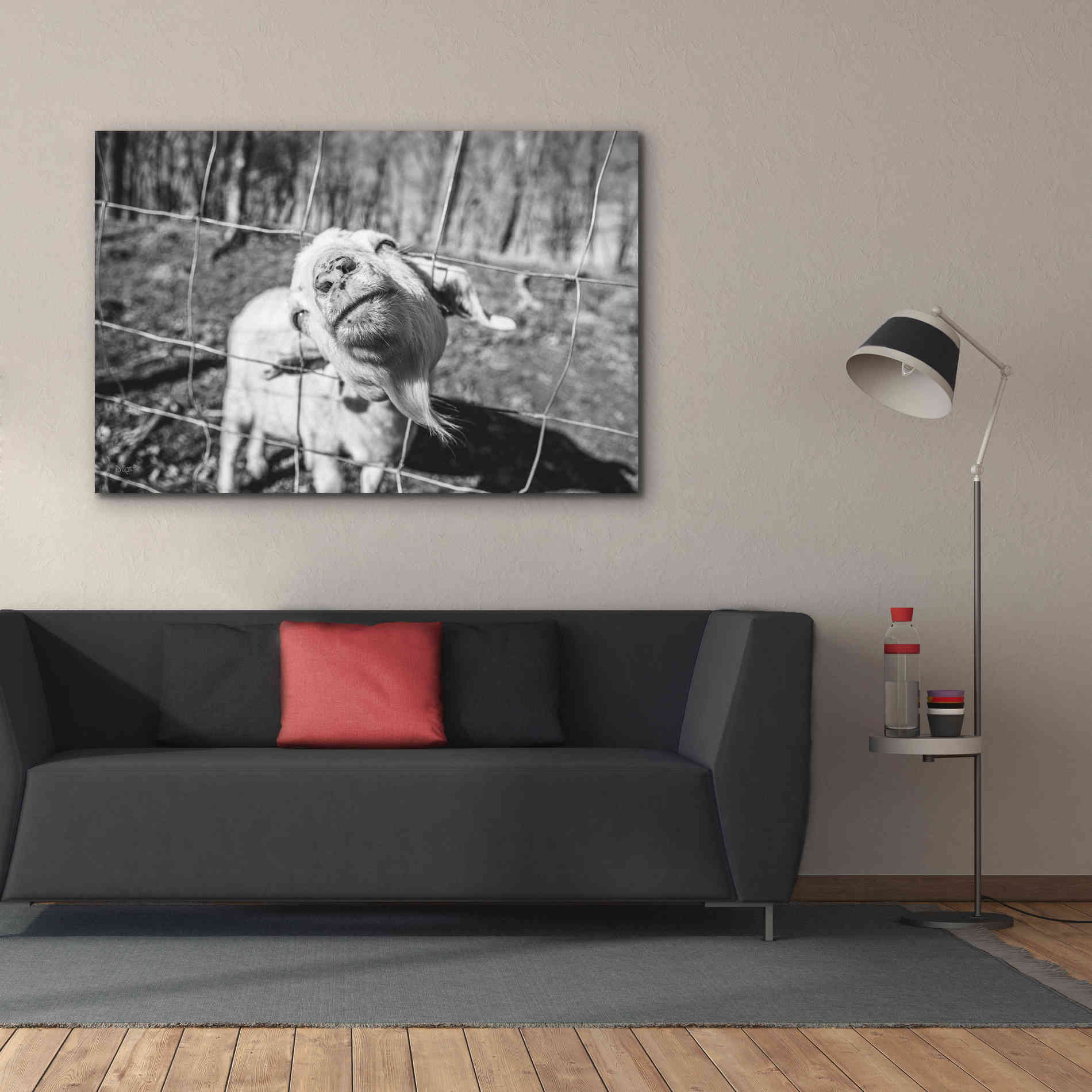 'Hey Goat' by Donnie Quillen Canvas Wall Art,60 x 40