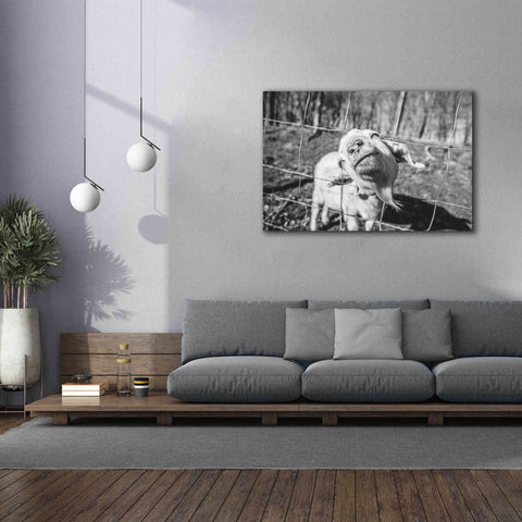 Image of 'Hey Goat' by Donnie Quillen Canvas Wall Art,60 x 40