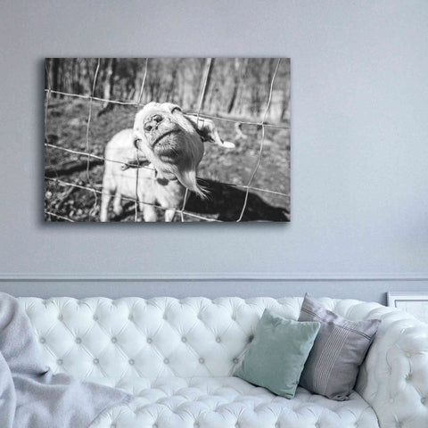 Image of 'Hey Goat' by Donnie Quillen Canvas Wall Art,60 x 40