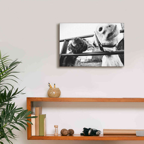 Image of 'Feeding Donkeys' by Donnie Quillen Canvas Wall Art,18 x 12