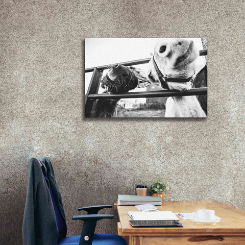 Image of 'Feeding Donkeys' by Donnie Quillen Canvas Wall Art,40 x 26