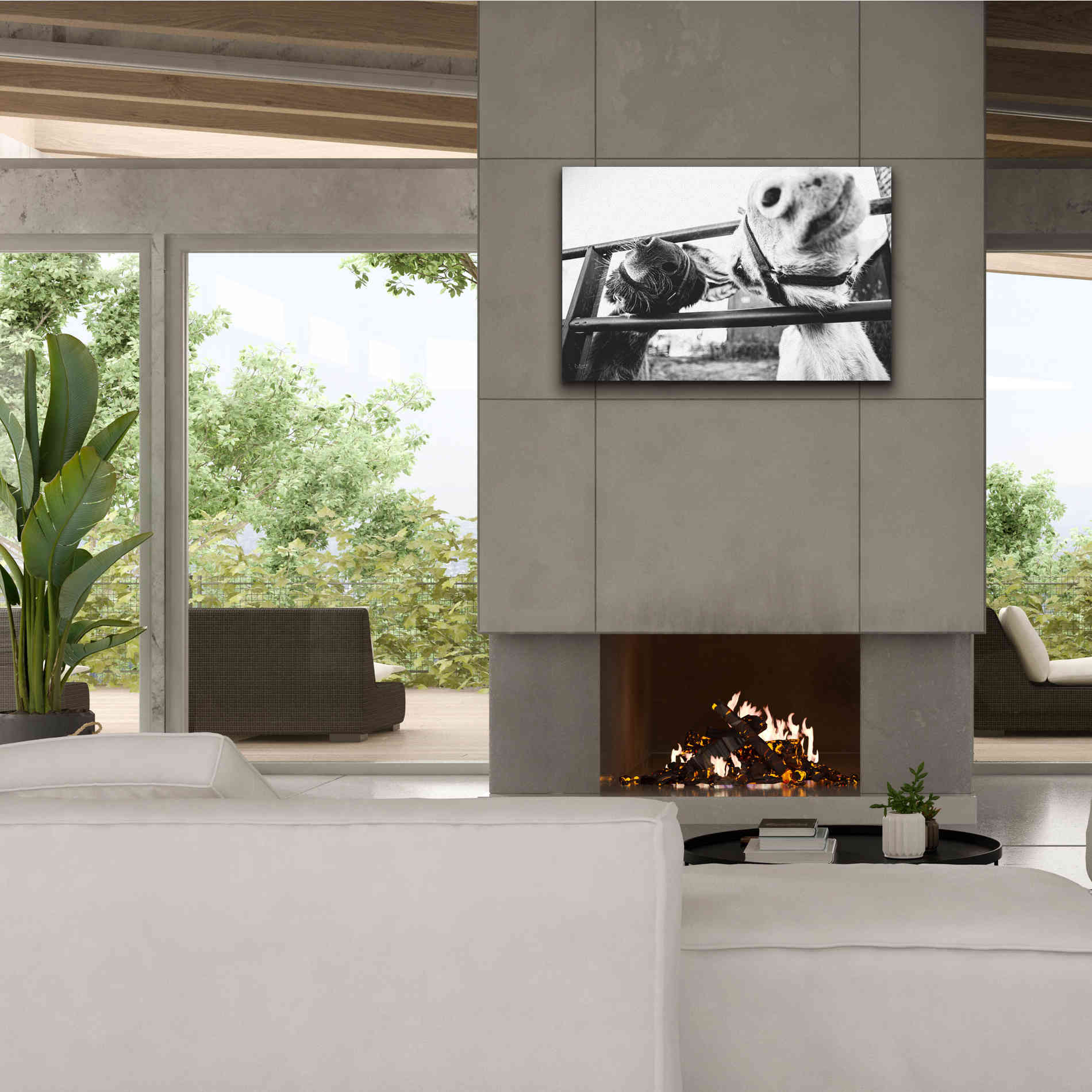 'Feeding Donkeys' by Donnie Quillen Canvas Wall Art,40 x 26