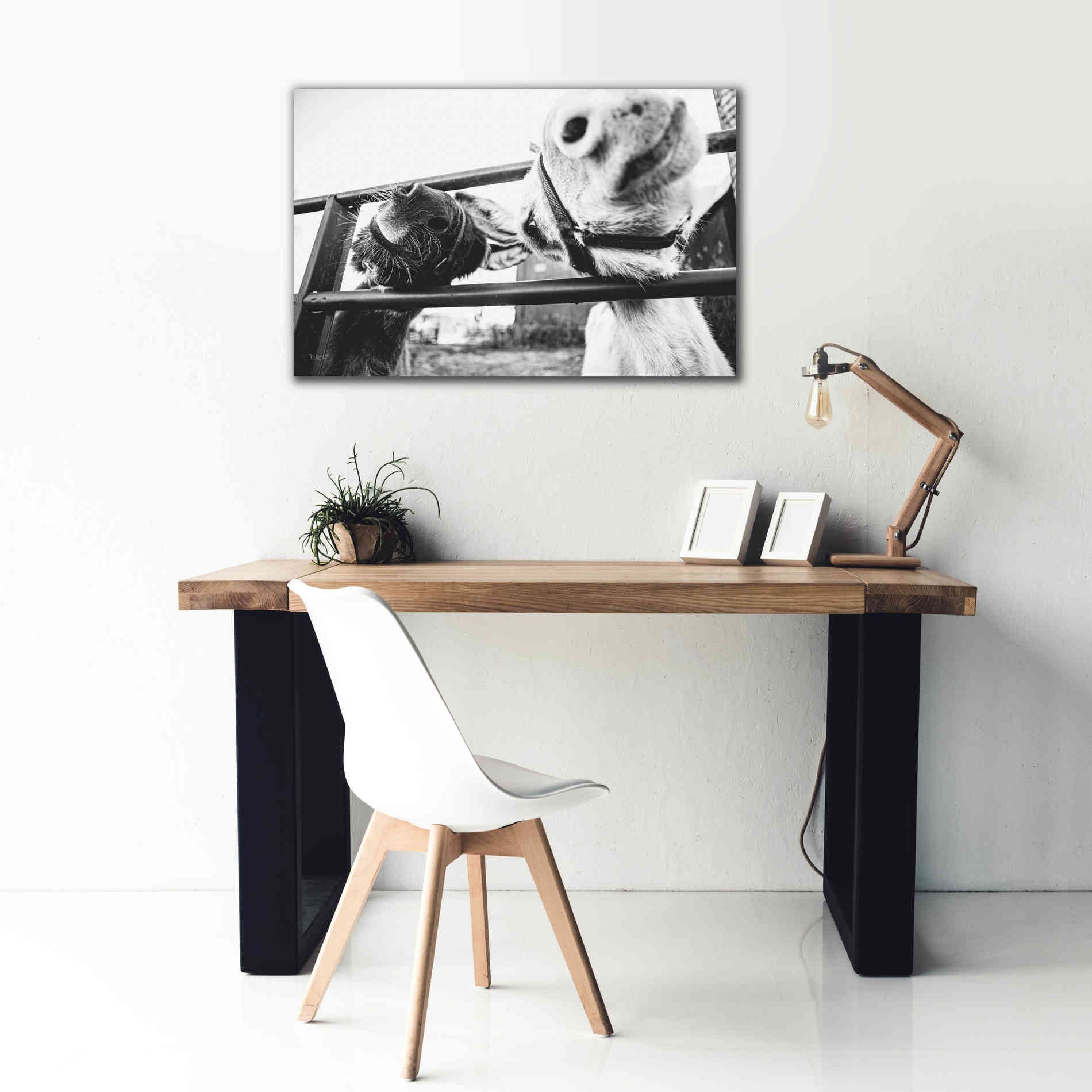 'Feeding Donkeys' by Donnie Quillen Canvas Wall Art,40 x 26