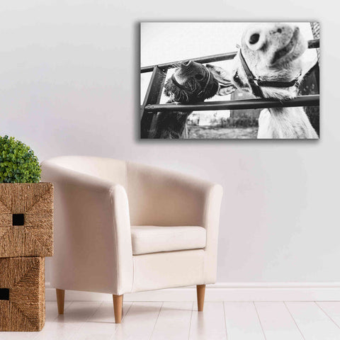 Image of 'Feeding Donkeys' by Donnie Quillen Canvas Wall Art,40 x 26