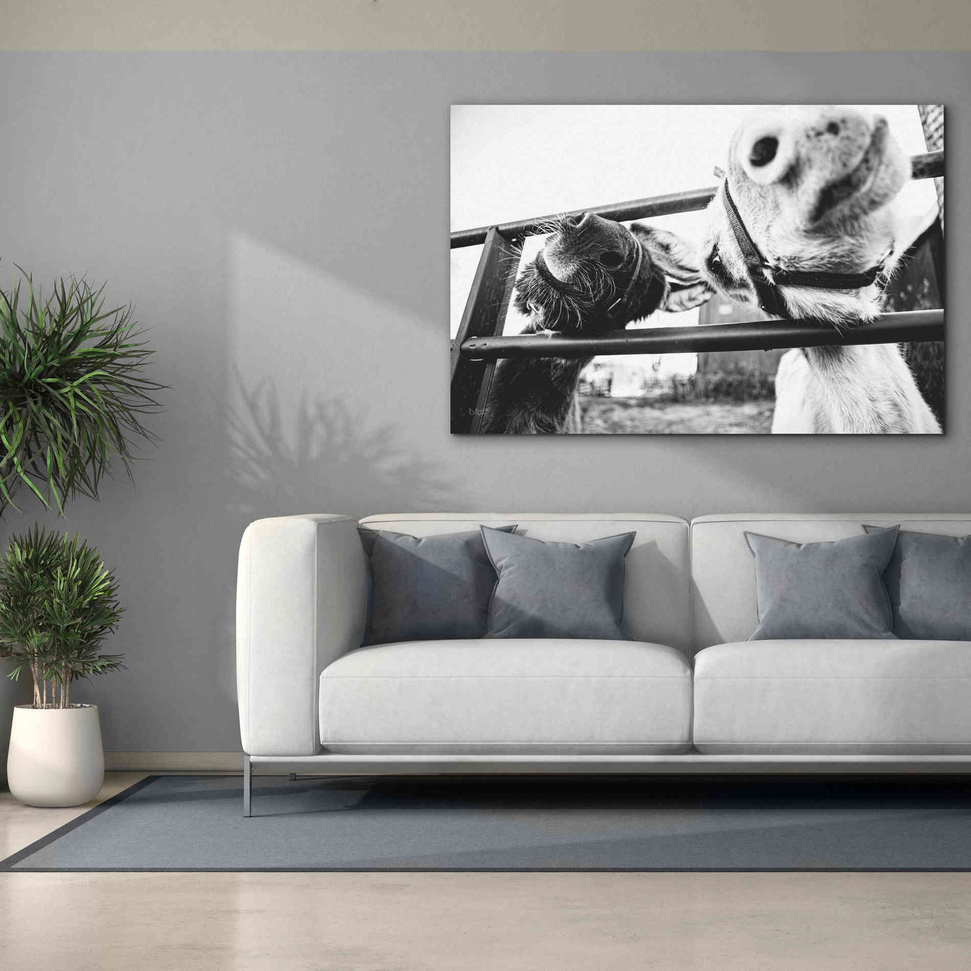 'Feeding Donkeys' by Donnie Quillen Canvas Wall Art,60 x 40