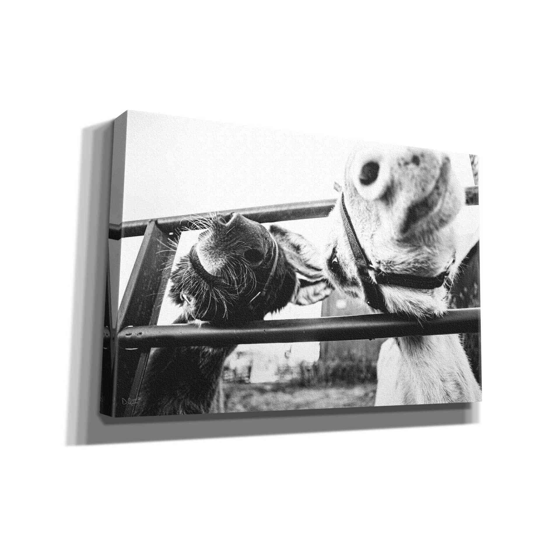 'Feeding Donkeys' by Donnie Quillen Canvas Wall Art